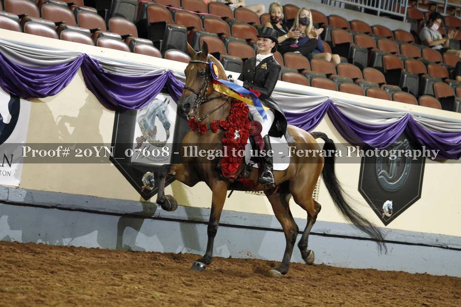 Proof 20YN_07608