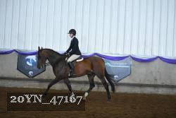 20YN_47167 proof