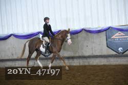 20YN_47197 proof