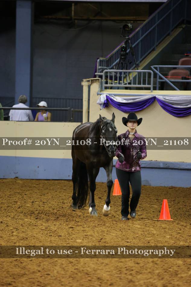 Proof 20YN_21108
