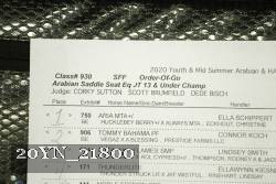 20YN_21800 proof