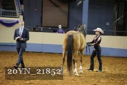 20YN_21852 proof