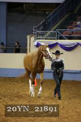20YN_21891 proof