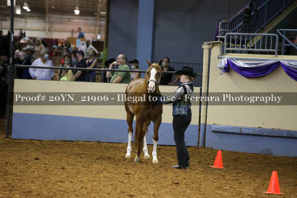 Proof 20YN_21906