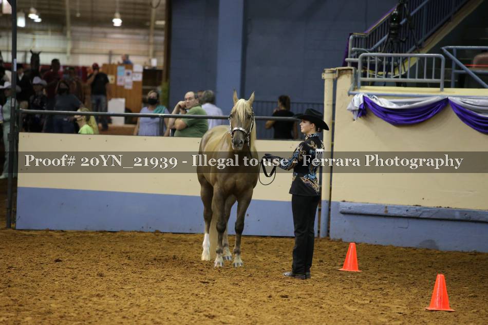 Proof 20YN_21939