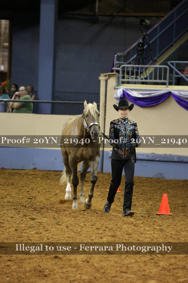 Proof 20YN_21940