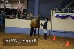 20YN_22008 proof