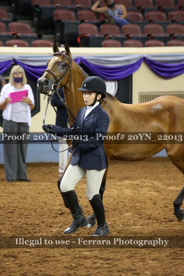 Proof 20YN_22013