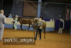 20YN_28581 proof