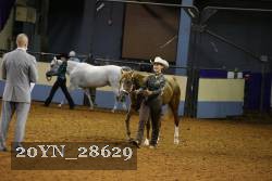 20YN_28629 proof
