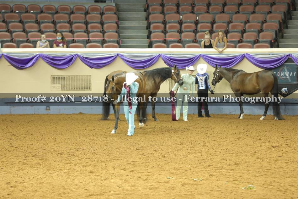 Proof 20YN_28718
