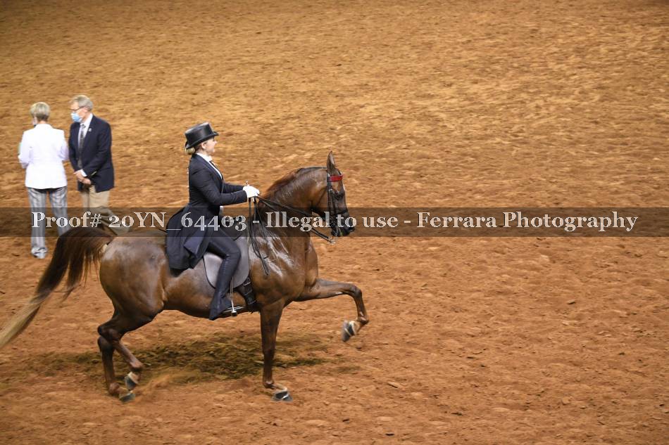 Proof 20YN_64403