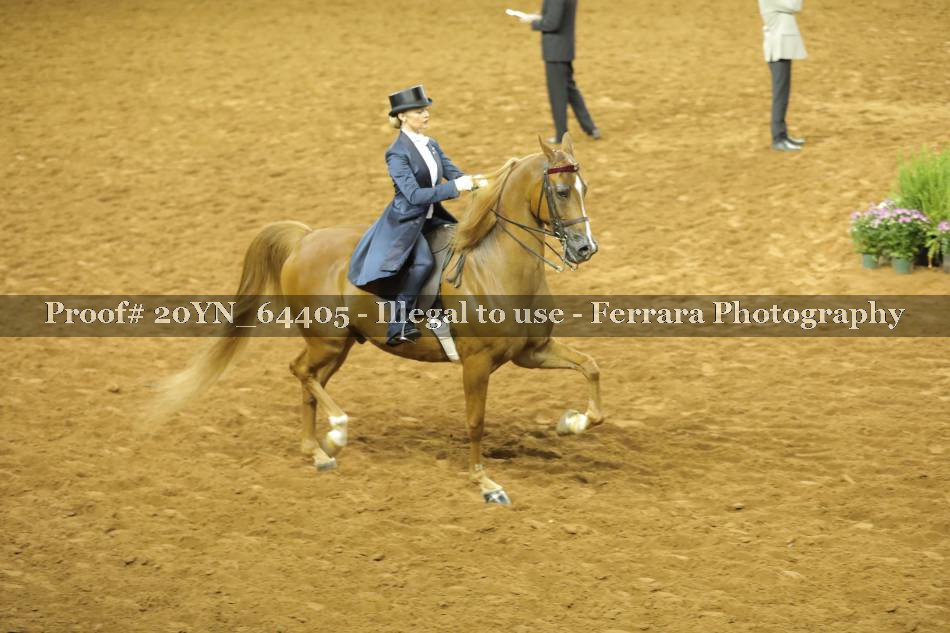 Proof 20YN_64405