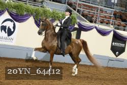 20YN_64412 proof