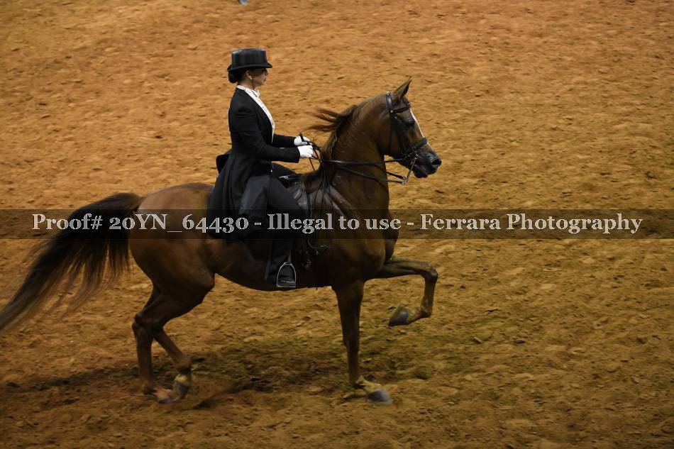 Proof 20YN_64430