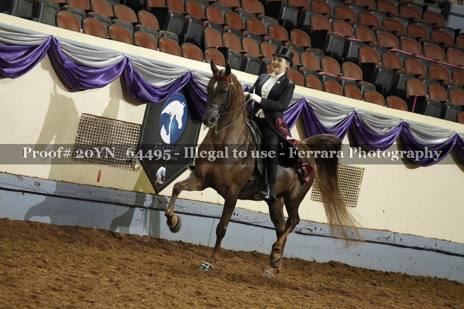 Proof 20YN_64495