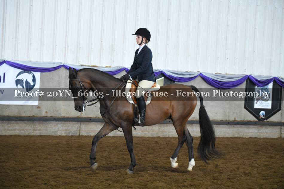 Proof 20YN_66163