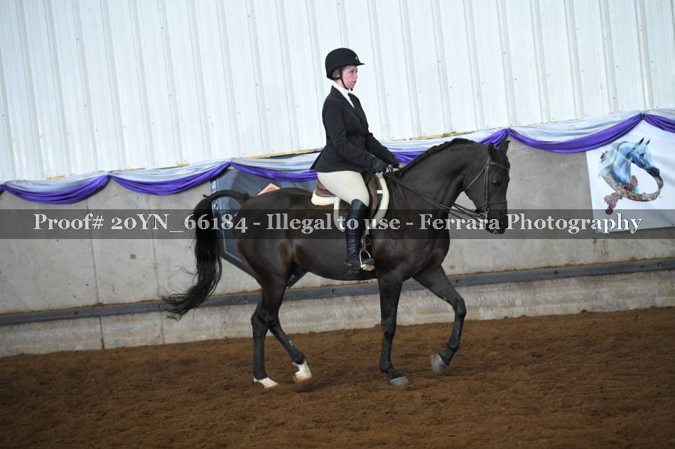 Proof 20YN_66184