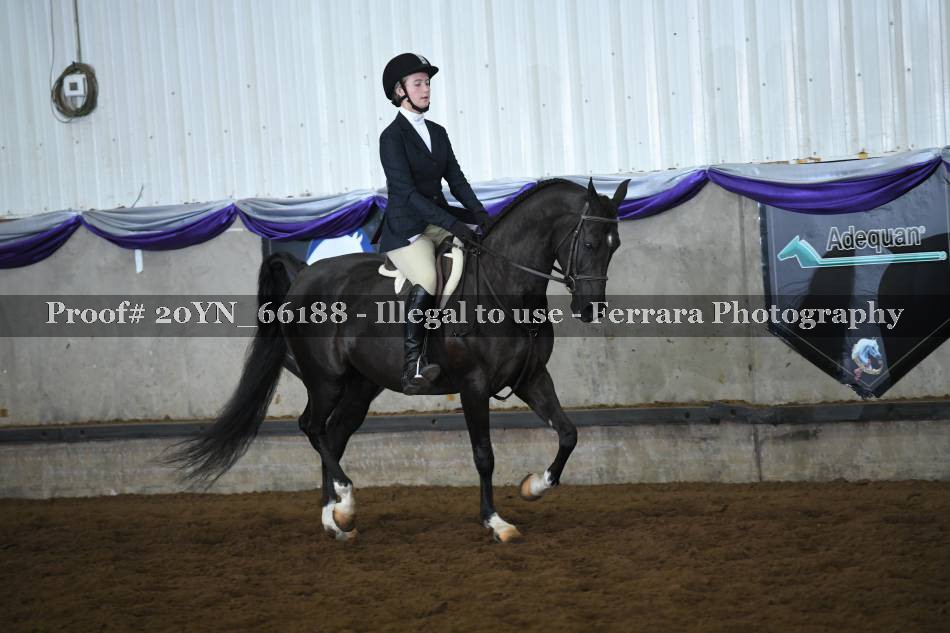 Proof 20YN_66188