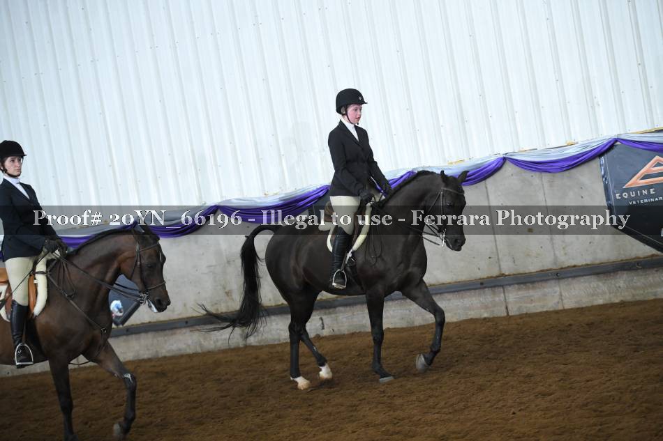 Proof 20YN_66196