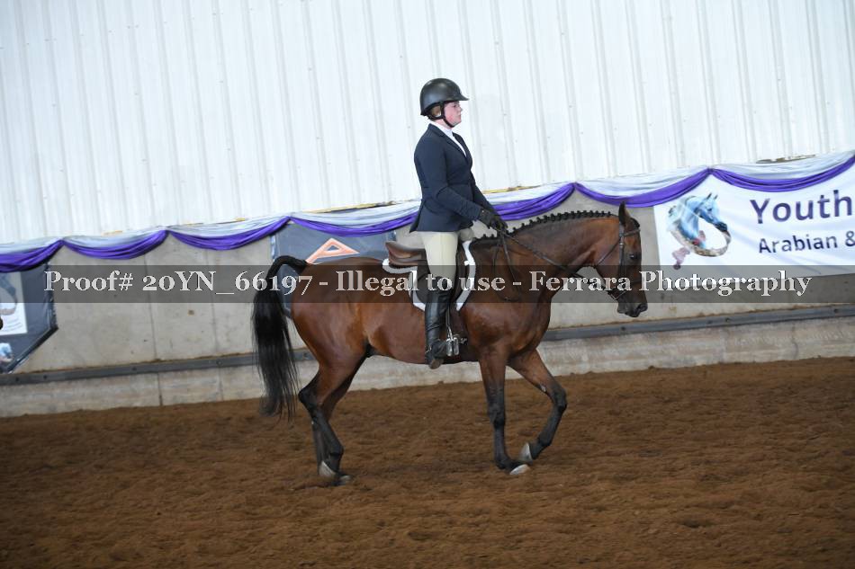Proof 20YN_66197