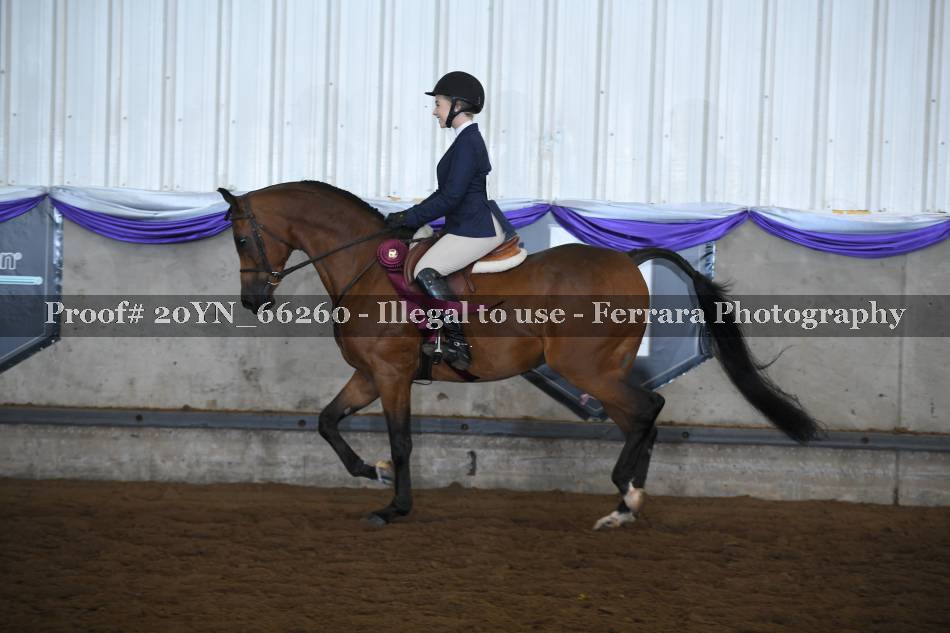 Proof 20YN_66260