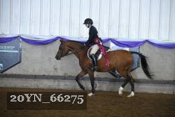20YN_66275 proof