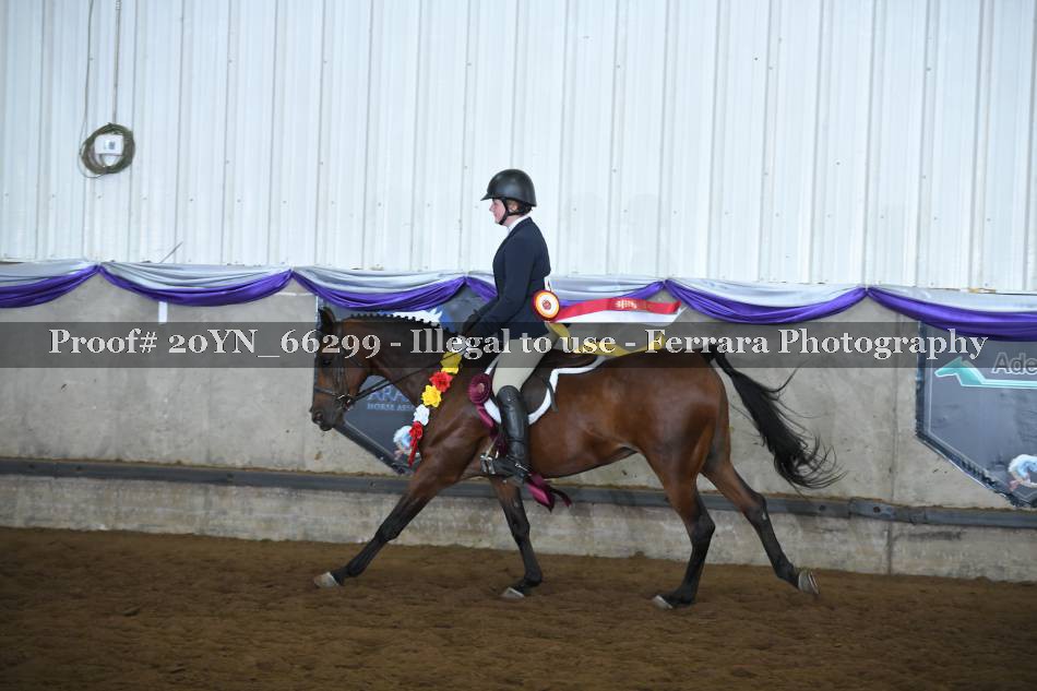 Proof 20YN_66299