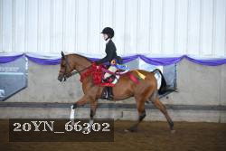 20YN_66302 proof