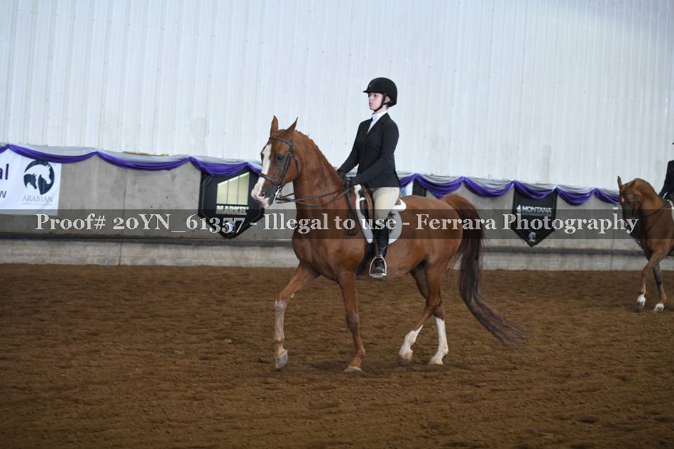 Proof 20YN_61357