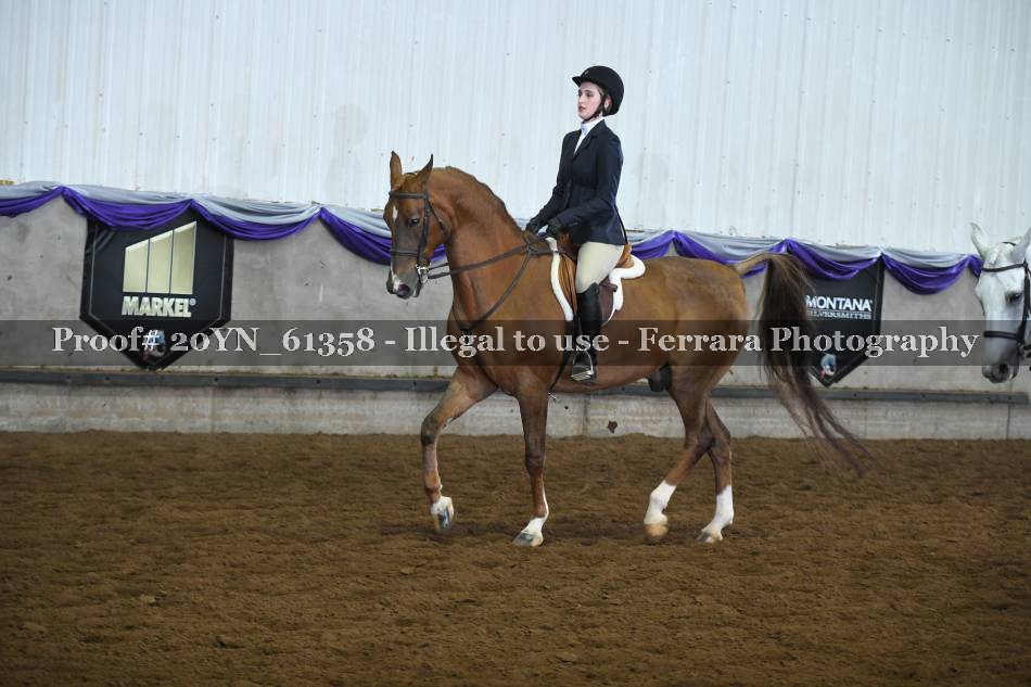 Proof 20YN_61358
