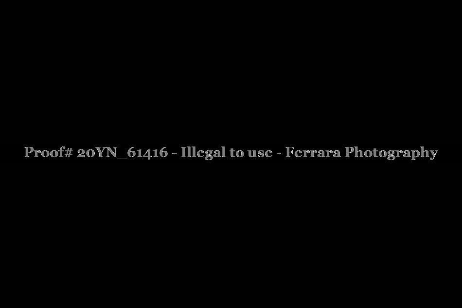Proof 20YN_61416