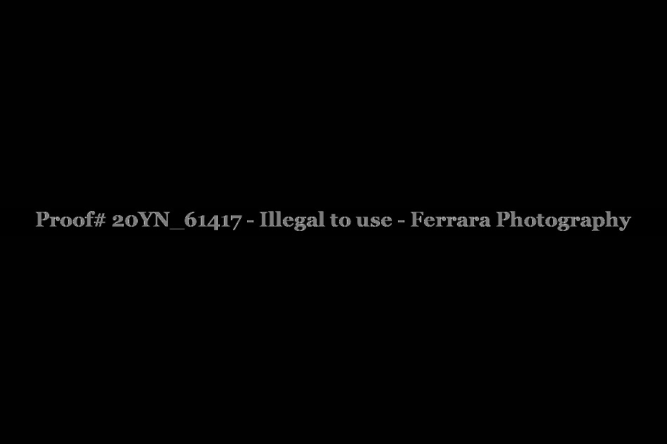 Proof 20YN_61417