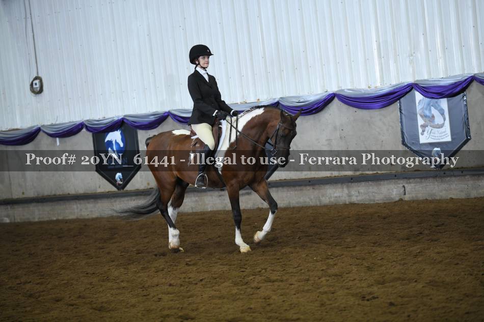 Proof 20YN_61441