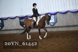 20YN_61442 proof