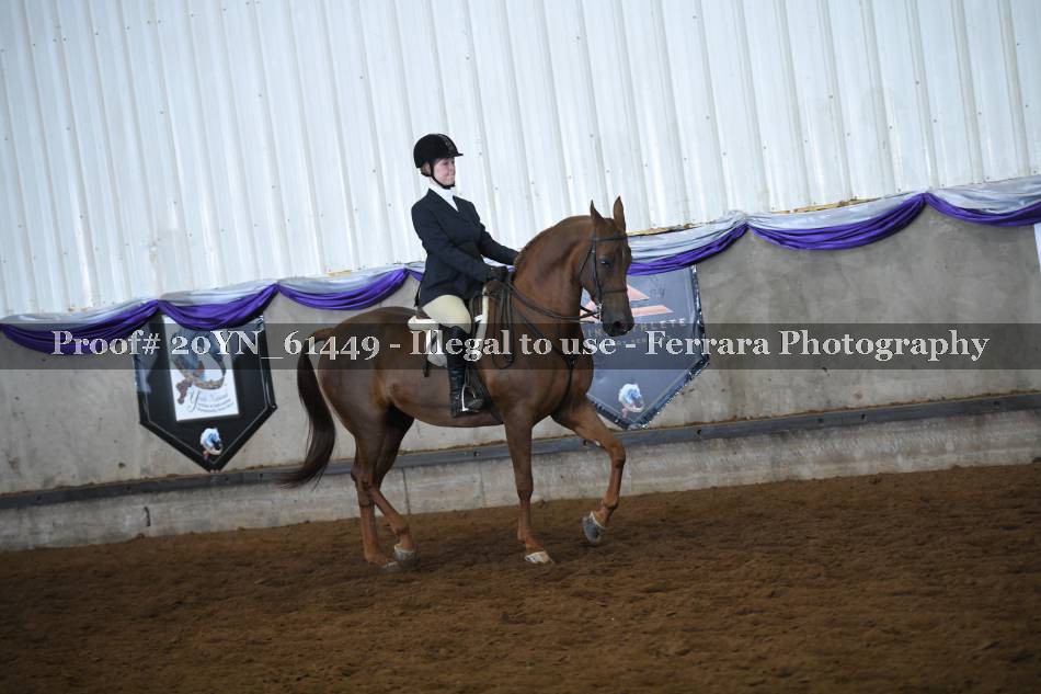 Proof 20YN_61449