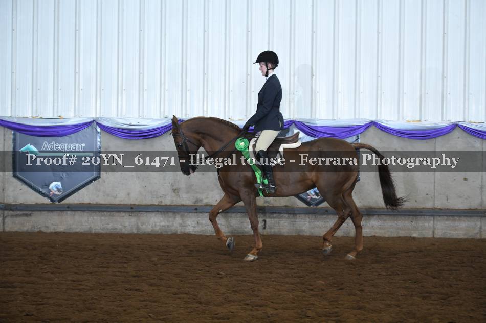 Proof 20YN_61471