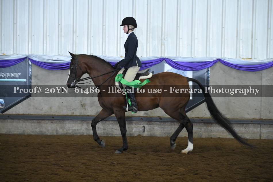 Proof 20YN_61486