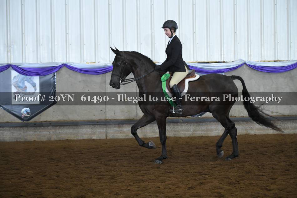 Proof 20YN_61490