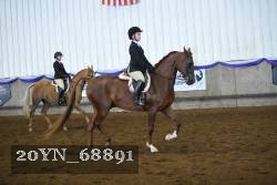 20YN_68891 proof