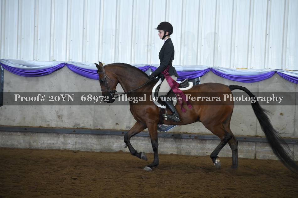 Proof 20YN_68972