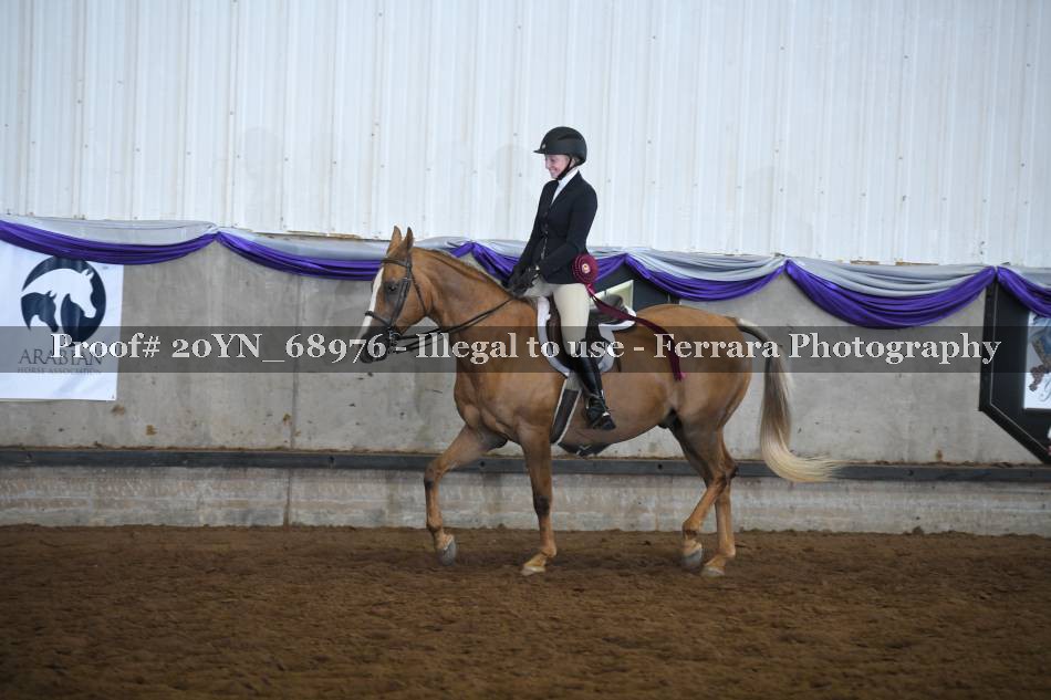 Proof 20YN_68976