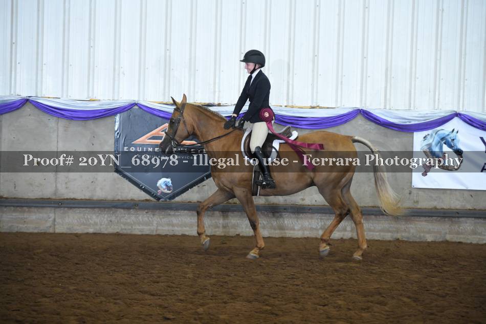 Proof 20YN_68978
