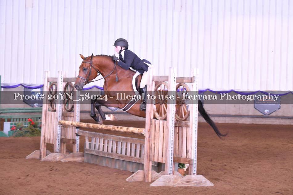 Proof 20YN_58024