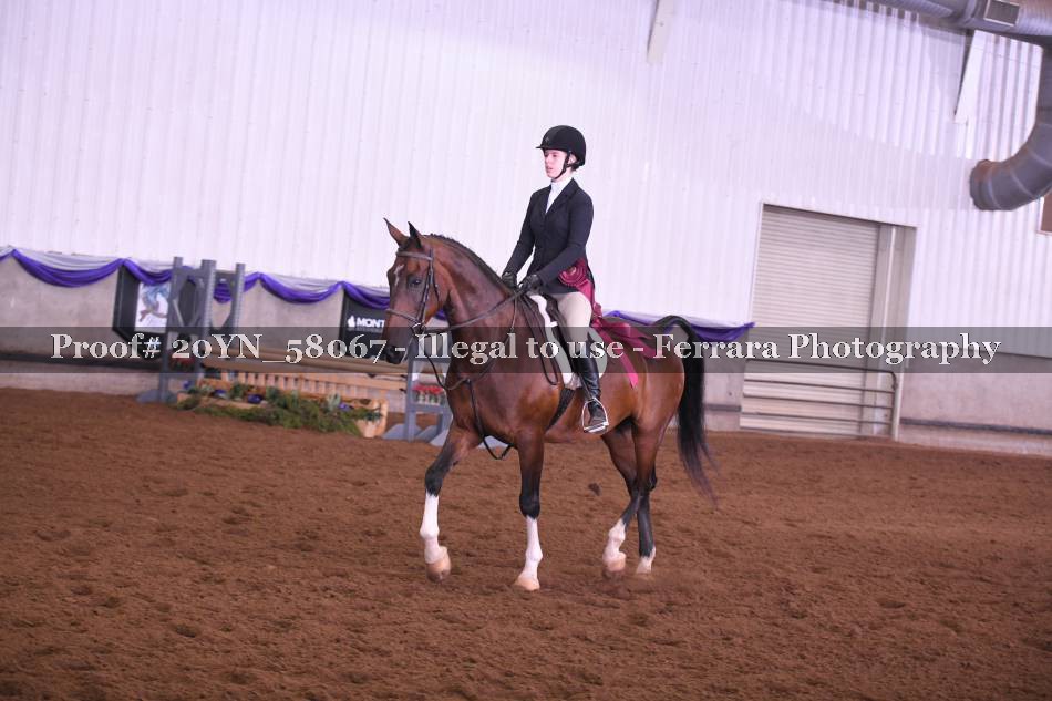 Proof 20YN_58067