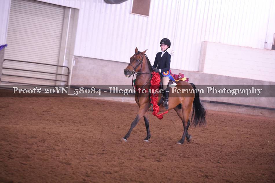 Proof 20YN_58084