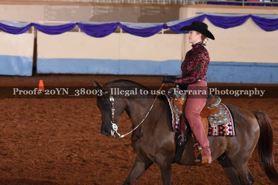 Proof 20YN_38003