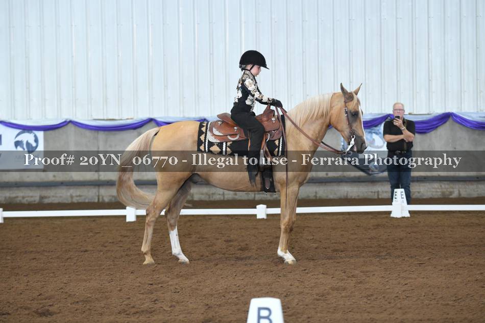 Proof 20YN_06770