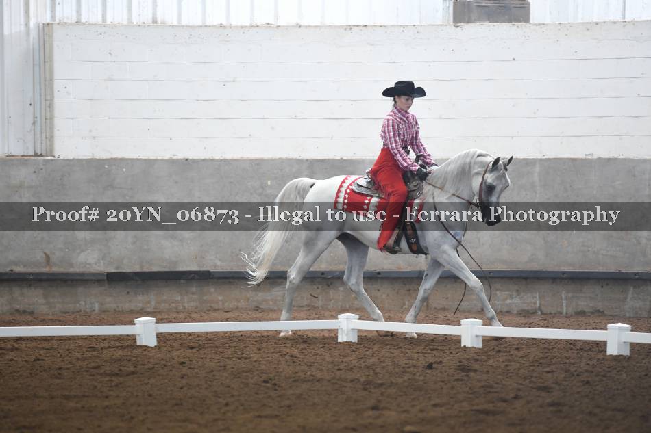 Proof 20YN_06873