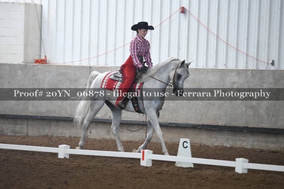 Proof 20YN_06878
